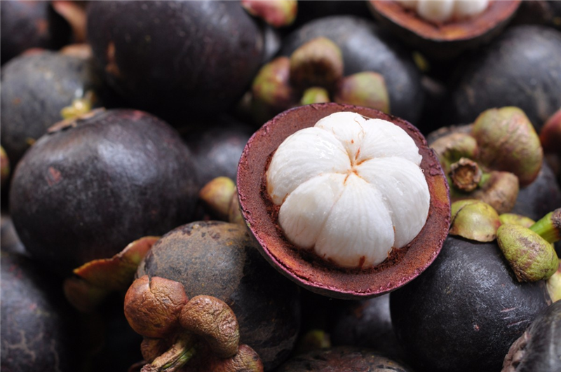Thailand mangosteen import customs clearance