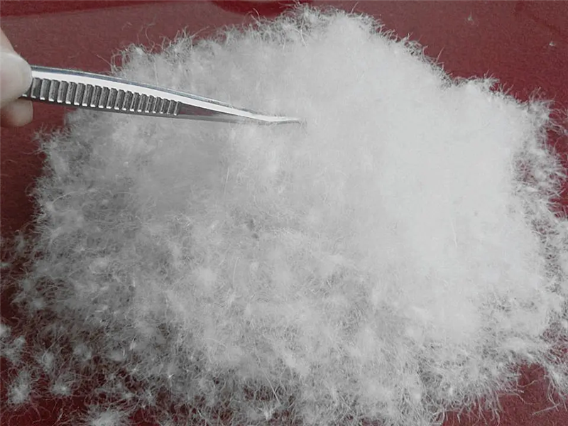 Washed duck down import customs declaration agency
