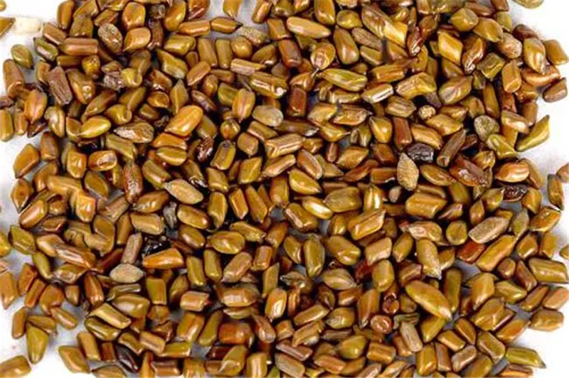 Cassia seed import customs clearance agent