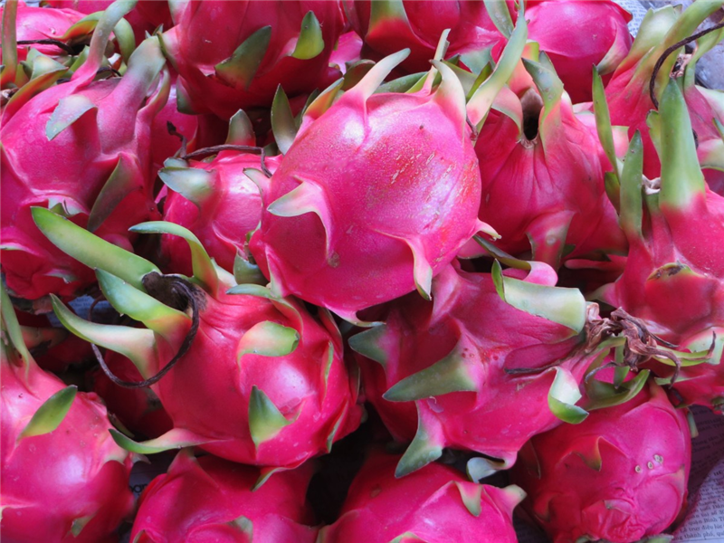 Customs clearance of imported Pitaya