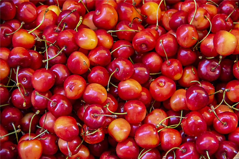 Chile cherry import declaration