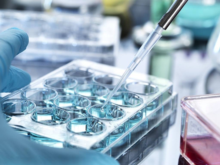 German cell culture medium import customs declaration process
