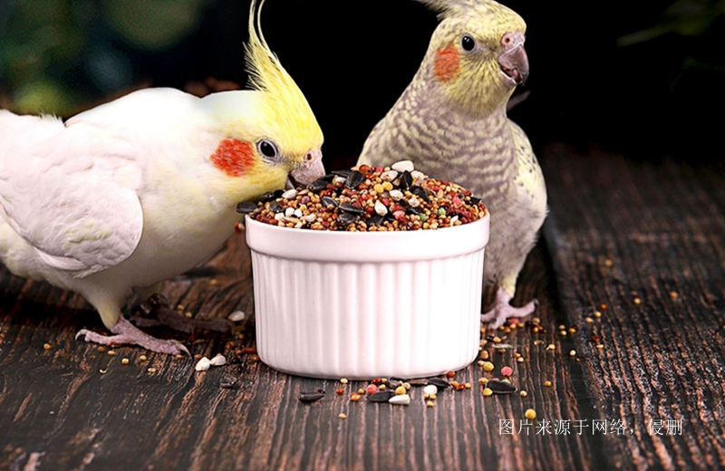 Customs clearance fees for imported Canadian pet food