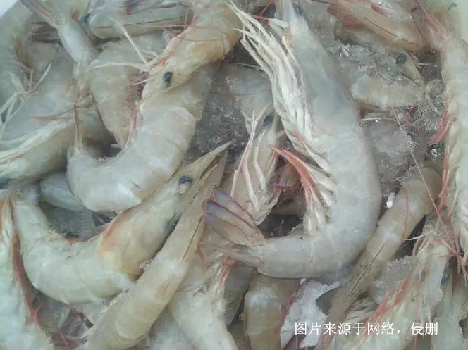 Customs declaration process for imported frozen shrimp from Myanmar