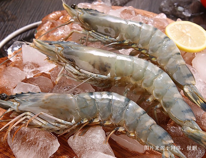 Customs clearance documents for imported frozen black tiger shrimp from Myanmar