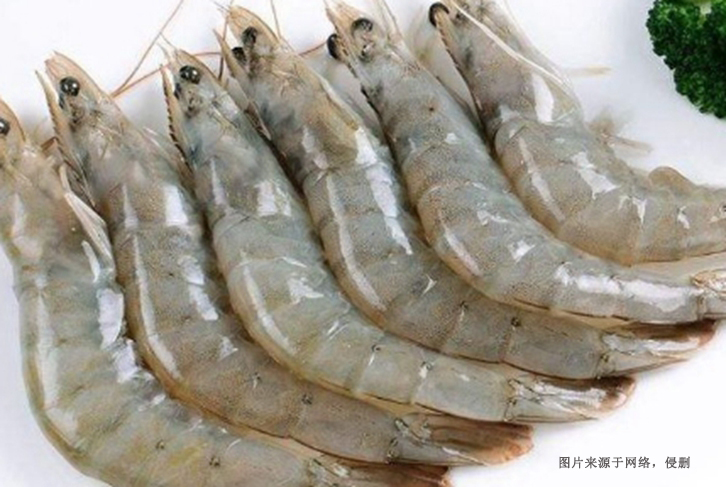 Customs declaration documents for the import of frozen South American white shrimp from Vietnam