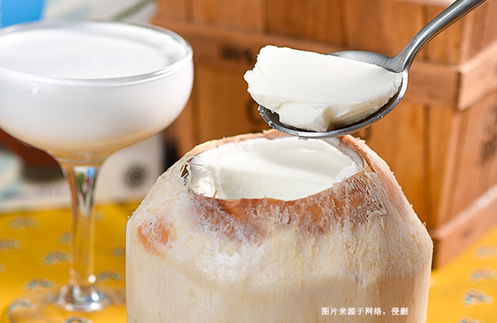 Customs declaration process for importing Thai coconut milk from Nansha Port in Guangzhou